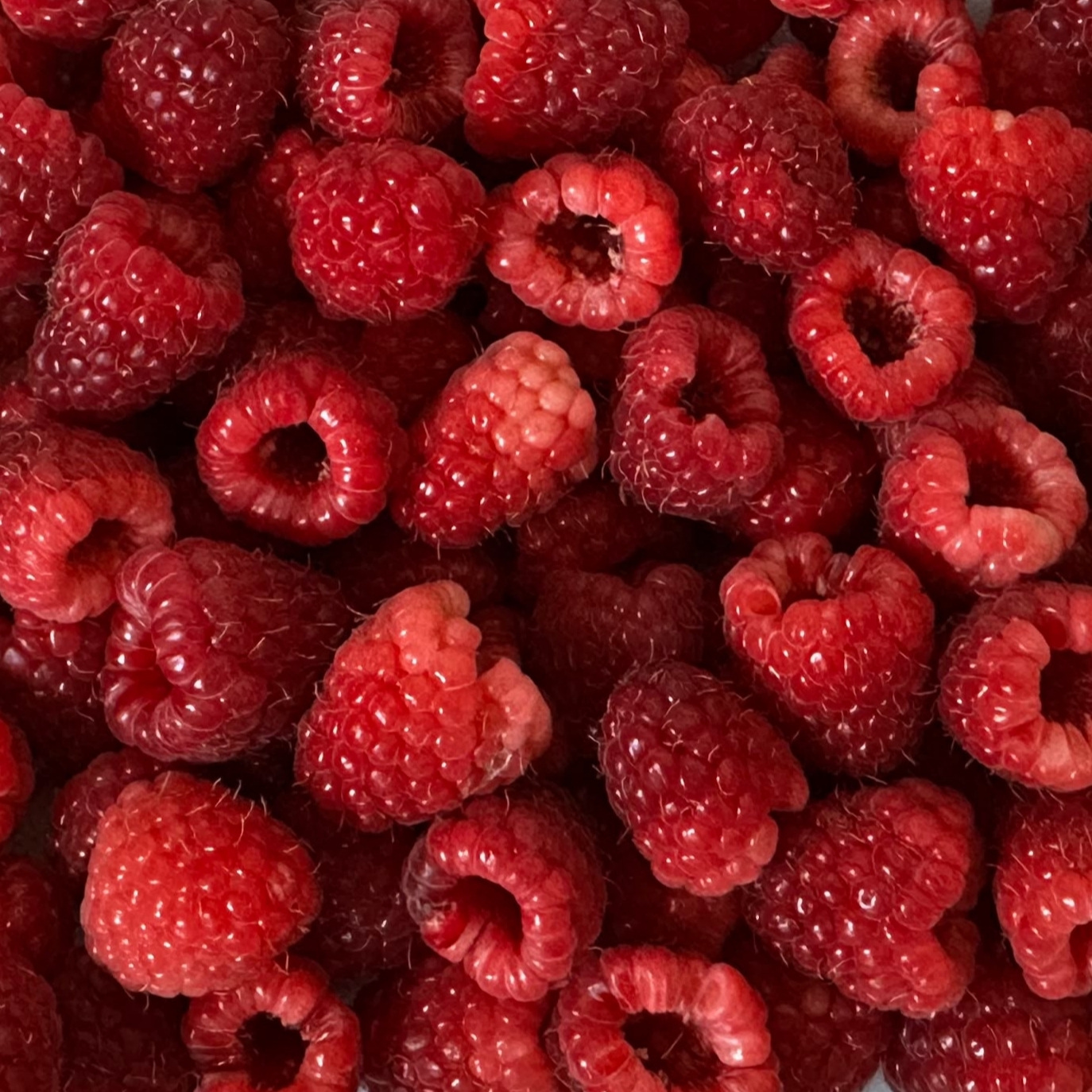 Polka Ahududu ( frambuaz)